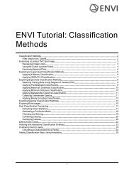 ENVI Classification Methods