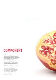 Component (pdf 5.5 Mb) - Ciare