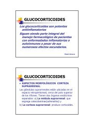 GLUCOCORTICOIDES GLUCOCORTICOIDES