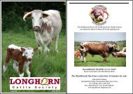 News 80 July - Longhorn Cattle Society