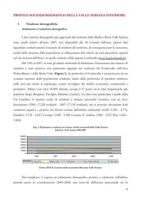 Rapporto socio-demografico ed economico della Valle Seriana ...