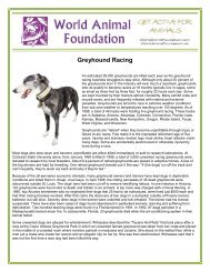 Greyhound Racing - World Animal Foundation