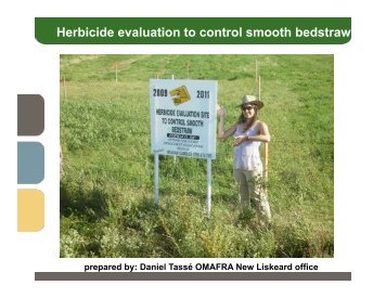 Herbicide evaluation to control smooth bedstraw - Ontario Soil and ...