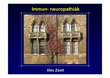 Immun- neuropathiák