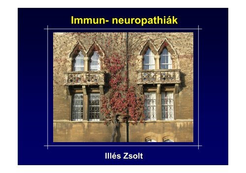 Immun- neuropathiák