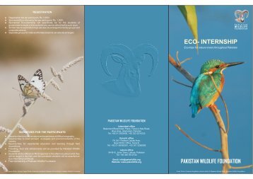 Brochure Eco-Internship - Pakistan Wildlife Foundation