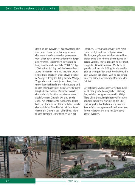 Felis News - Ausgabe 2007 - Zoologischer Garten Magdeburg