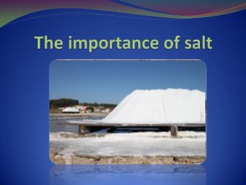 The salt - ESEN - Viseu