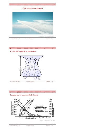 Cold cloud microphysics