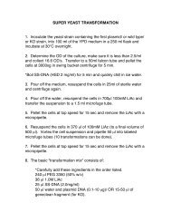 SUPER YEAST TRANSFORMATION 1. Inoculate ... - UT Southwestern
