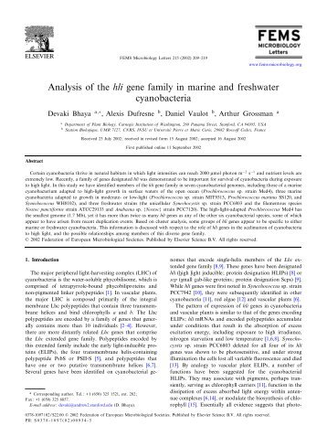 Analysis of the hli gene family in marine and freshwater cyanobacteria