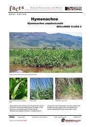 Hymenachne - PP54 - Central Queensland University