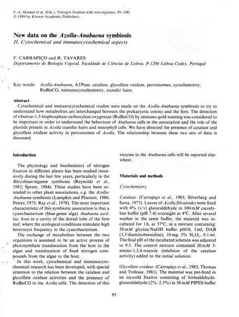 New data on the Azolla-Anabaena symbiosis