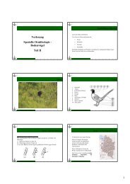 Vortrag Spezielle Ornithologie 2012_pdf_Teil 2 - Vorarlberger ...