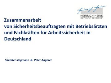 Siegmann Zusammenarbeit.pdf
