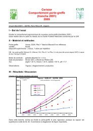 Cerisier Comportement porte-greffe (tranche 2001) 2009