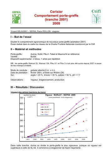 Cerisier Comportement porte-greffe (tranche 2001) 2009