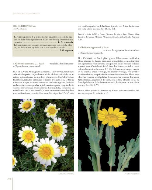 Flora Vascular de AndalucÃ­a Oriental