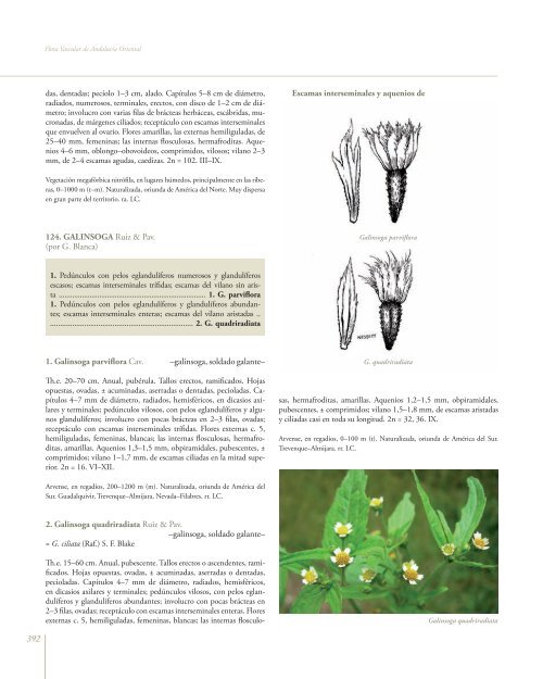 Flora Vascular de AndalucÃ­a Oriental