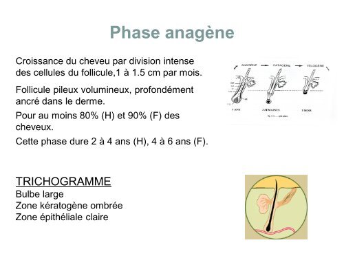 alopÃ©cie