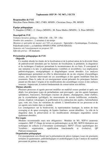 Taphonomie (SEP 39 - NU 967), 3 ECTS Responsables de l ... - LIS