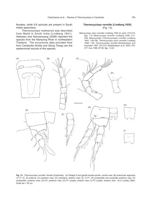 A Review of the Genus Thermocyclops - Zoological Studies