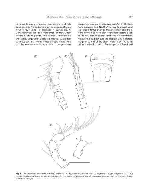 A Review of the Genus Thermocyclops - Zoological Studies