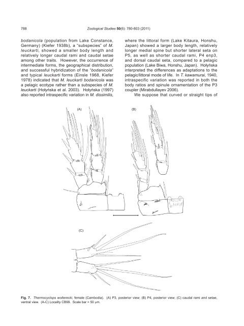 A Review of the Genus Thermocyclops - Zoological Studies