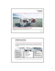 REHAU PIPESYSTEMS FOR BIOGAS PLANTS