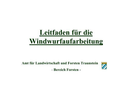 Leitfaden für die Windwurfaufarbeitung - Amt für Ernährung ...