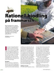 Rationell biodling pÃ¥ frammarsch - Svensk Raps