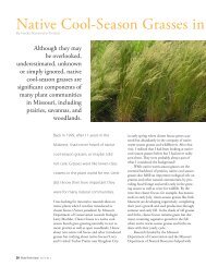 Native Cool-Season Grasses in Missouri - Missouri Prairie Foundation