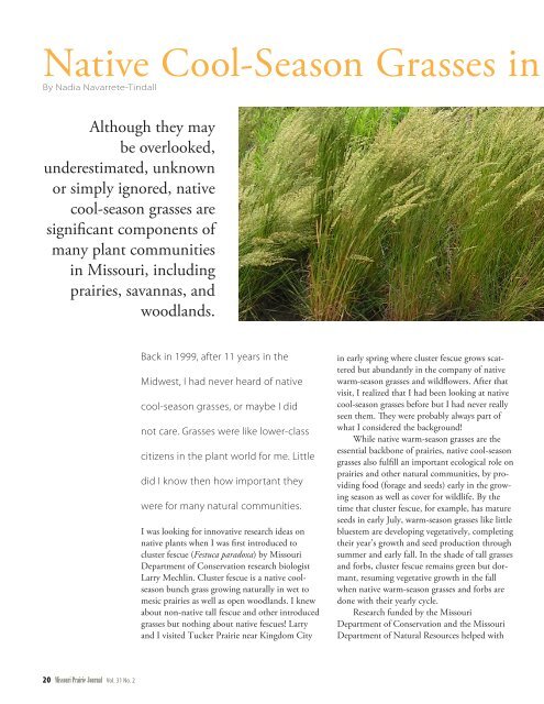 Native Cool Season Grasses In Missouri Prairie Foundation