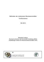 Skript zum Teil Biochemie - ZMBH