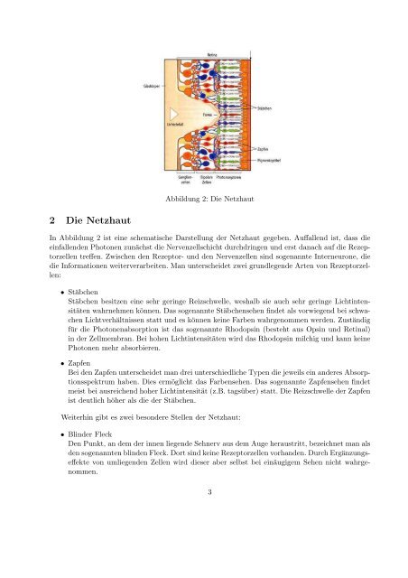 Physik des Sehens