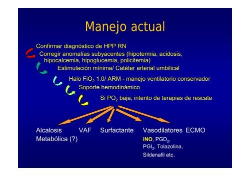 HipertensiÃ³n Pulmonar Persistente del ReciÃ©n Nacido