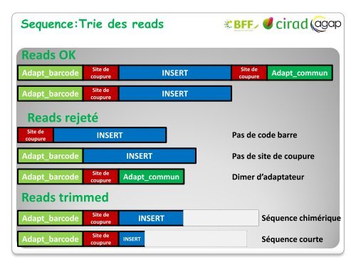 Analyse de donnÃ©es GBS - Inra