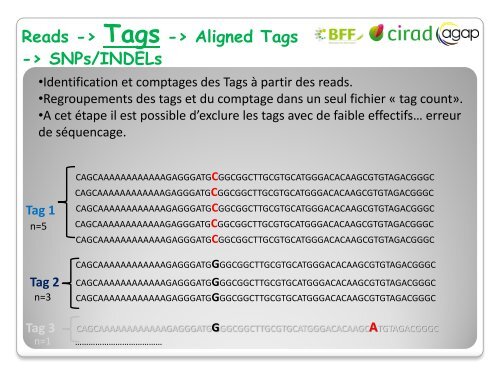 Analyse de donnÃ©es GBS - Inra