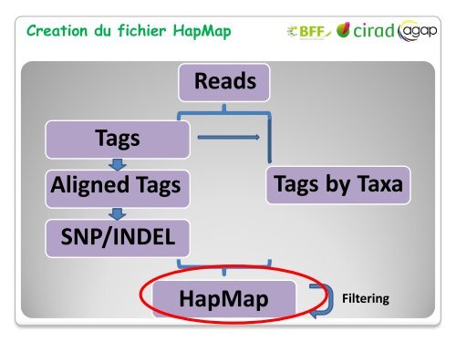 Analyse de donnÃ©es GBS - Inra