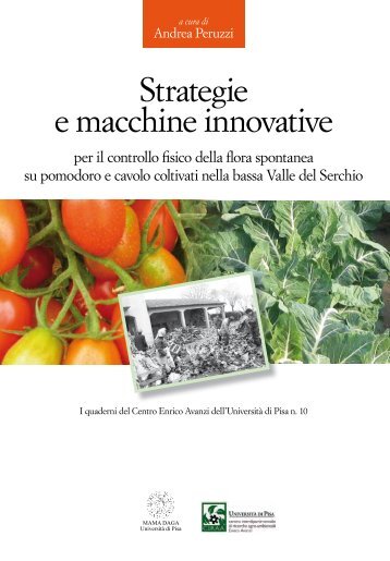 Strategie e macchine innovative per il controllo della ... - Enrico Avanzi