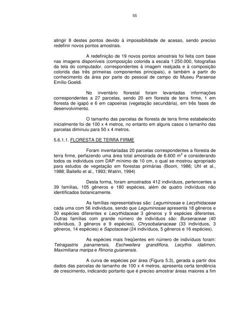 Documento completo - OBT - Inpe