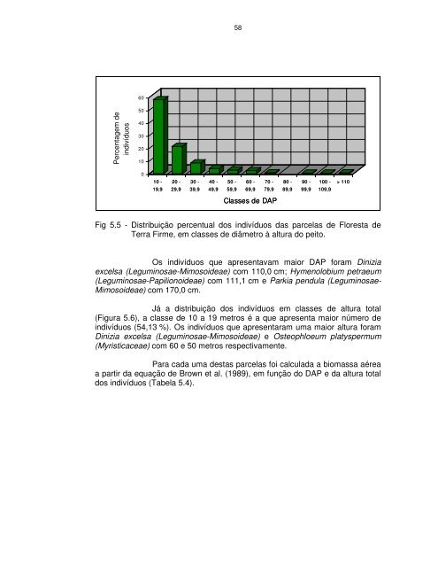 Documento completo - OBT - Inpe