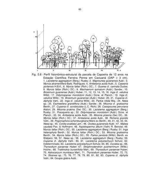 Documento completo - OBT - Inpe