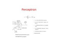 Perceptron, Hopfieldova síť - eAMOS