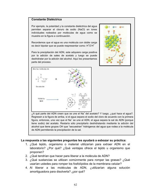 El trabajo experimental en la enseñanza de las ciencias con énfasis ...