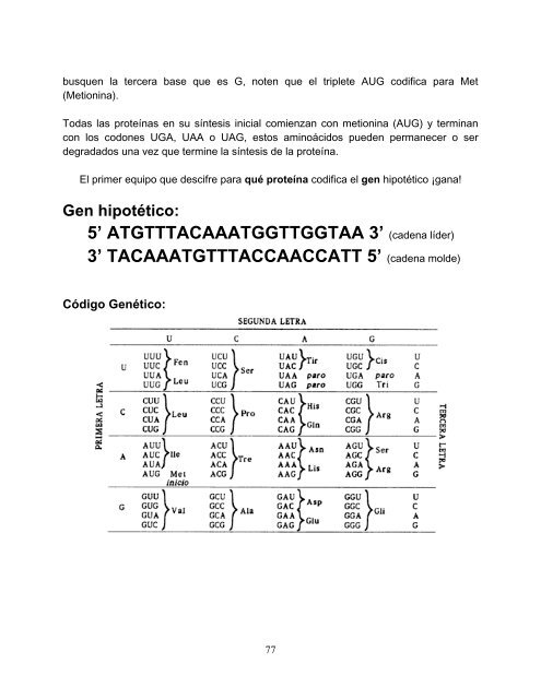 El trabajo experimental en la enseñanza de las ciencias con énfasis ...