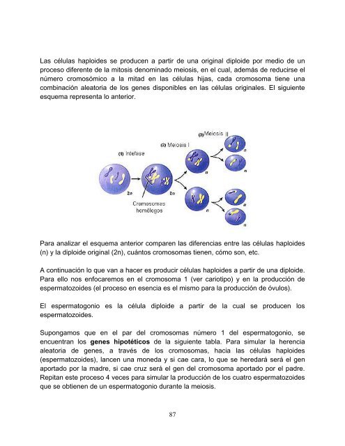 El trabajo experimental en la enseñanza de las ciencias con énfasis ...