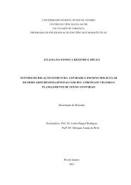 Estudos de relação estrutura atividade e docking - UFRJ