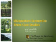 Silvopasture Economics: Three Case Studies