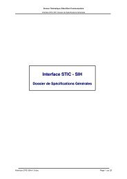 Interface STIC - SIH